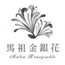 馬祖金銀花 Matsu Honeysukle 及圖