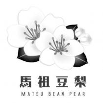 馬祖豆梨 MATSU BEAN PEAR 及圖