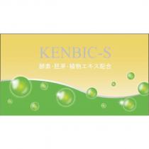 KENBIC-S
