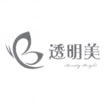 透明美 beauty bright 及蝴蝶圖