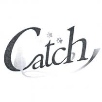 Catch 及圖