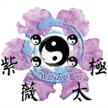 紫薇太極 ZiWeiTaiChi 及圖