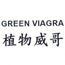 植物威哥 Green Viagra