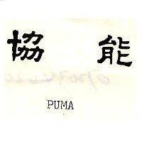 協能 PUMA