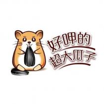 好呷的超大瓜子及圖