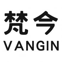 梵今 VANGIN