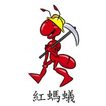 紅螞蟻及圖