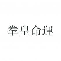 拳皇命運