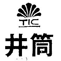 井筒及圖 TIC