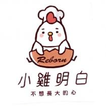 小雞明白不想長大的心 Reborn 及圖