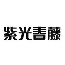紫光春藤