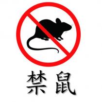禁鼠及圖