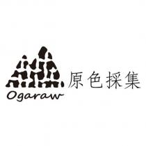 Ogaraw 原色採集及圖
