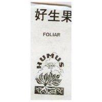 好生果 FOLIAR 