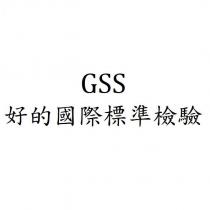GSS 好的國際標準檢驗