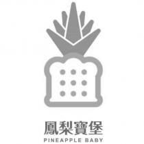鳳梨寶堡 PINEAPPLE BABY & DEVICE