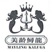 美齡鱘龍 MAYLING KALUGA 及圖