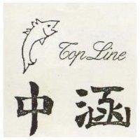 中涵 TOP LINE 及圖 