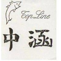 中涵 TOP LINE 及圖 