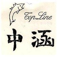 中涵及圖 TOP LINE