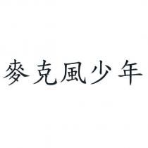 麥克風少年