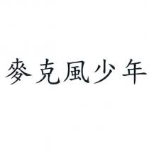 麥克風少年