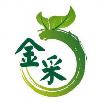 金采及圖