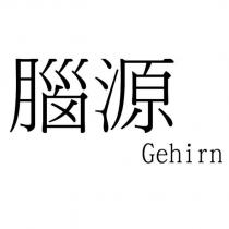腦源 Gehirn