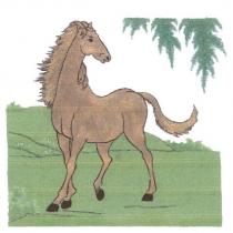 馬設計圖