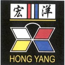 宏洋 HONG YANG 及圖
