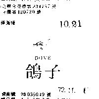 鴿子及圖 DOVE 