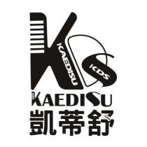 凱蒂舒 KAEDISU KDS 設計圖