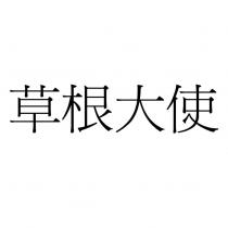草根大使