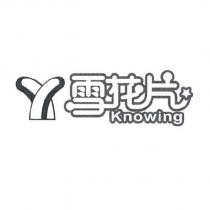 雪花片 knowing 及圖