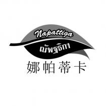 napattiga 娜帕蒂卡及圖