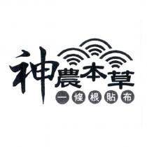 神農本草一條根貼布及圖