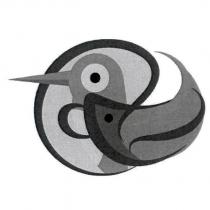 飛鳥魚設計圖
