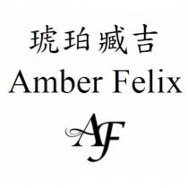 琥珀臧吉 Amber Felix AF