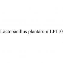 Lactobacillus plantarum LP110