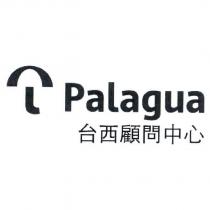 台西顧問中心 Palagua 及圖