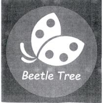 Beetle Tree 及圖