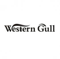 Western Gull 及圖