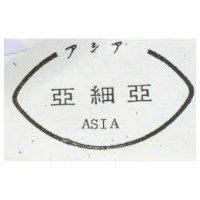 亞細丞及圖