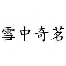 雪中奇茗