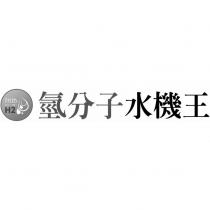 氫分子水機王 THJB H2 及圖