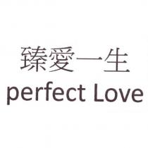 臻愛一生 Perfect Love