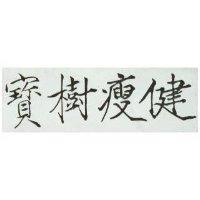 寶樹瘦健