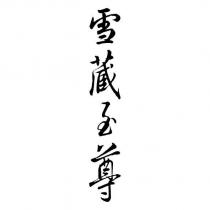 雪藏至尊