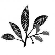紅豆有限公司標章圖