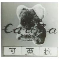 可亞拉及圖 Co a La